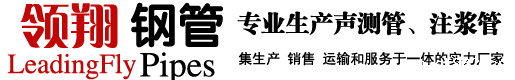 声测管厂家-注浆管厂家-钢花管-West Ham United